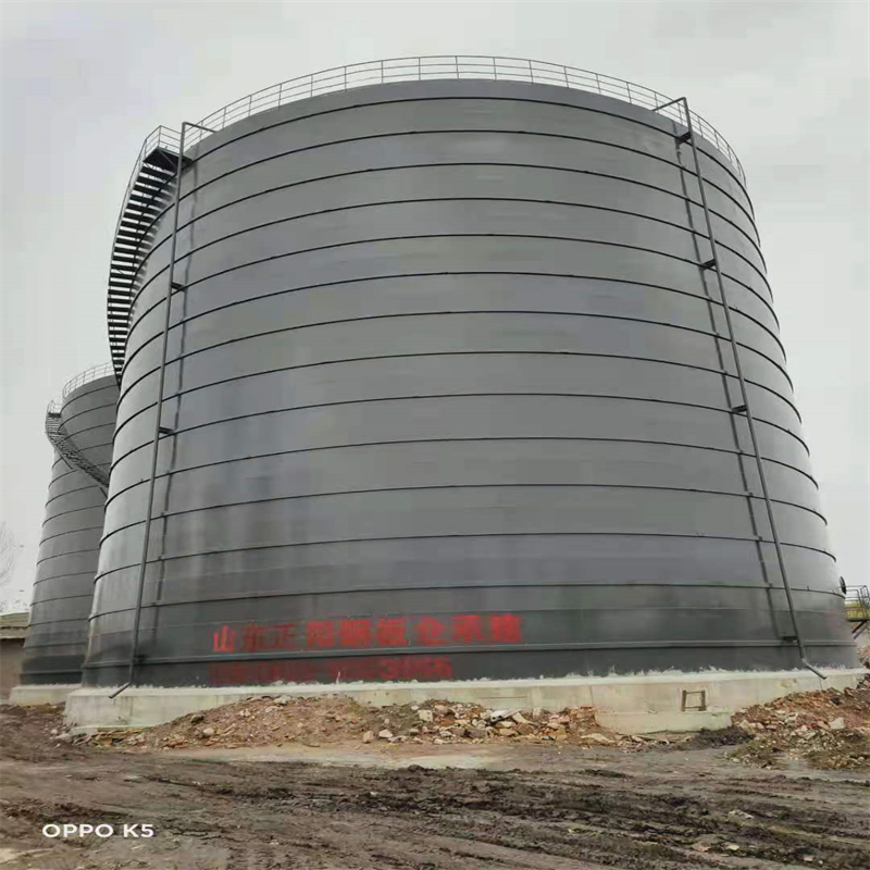 大通3万吨大型钢板库